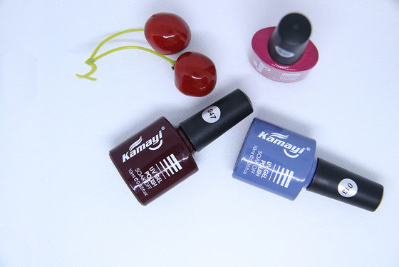 60 art UV de Kit For Personal DIY de démarreur de vernis à ongles de gel de couleurs